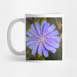 Vibrant Chicory Flower Mug